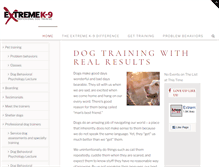 Tablet Screenshot of extremek-9.com